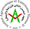 Logo_iav